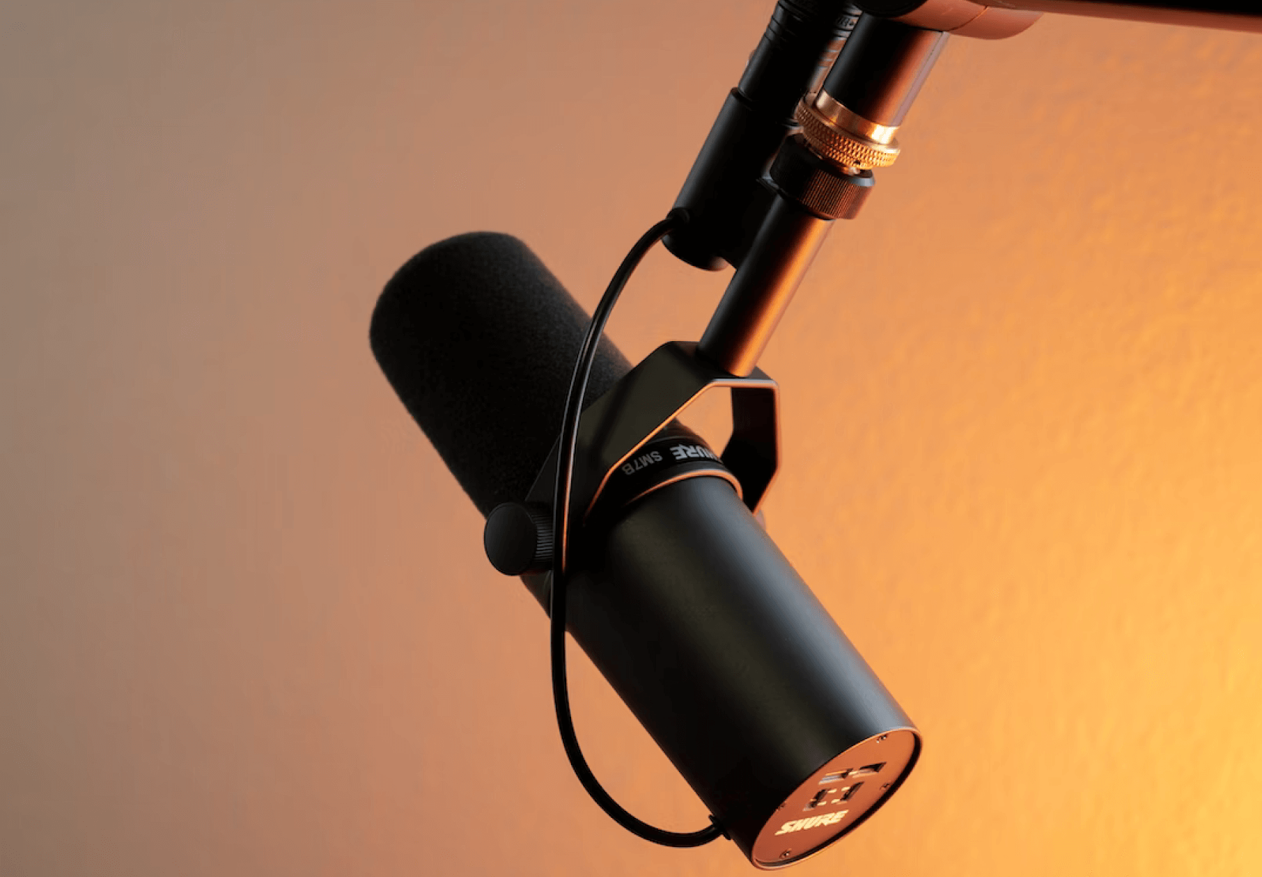 Microphone